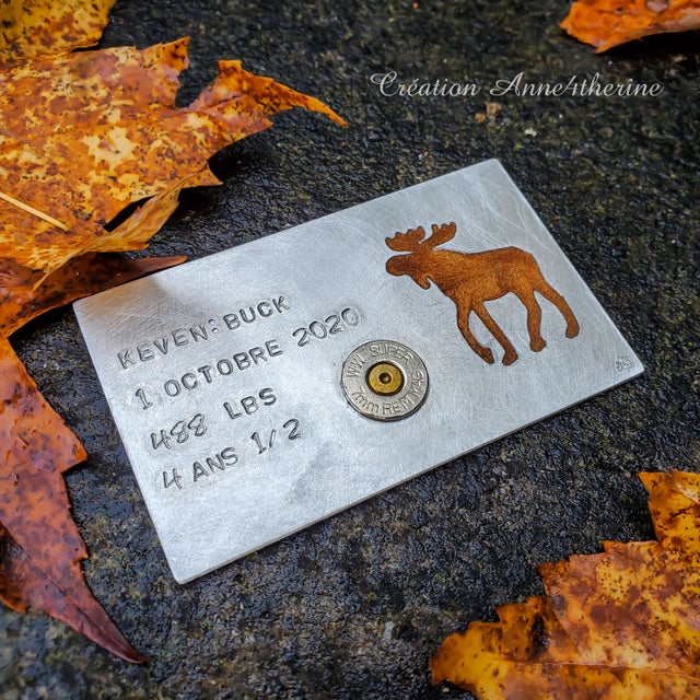 Plaque D'immatriculation Chasse Et Pêche Colorado Cerf élan Poisson - Occasion, Fabriquée Aux USA